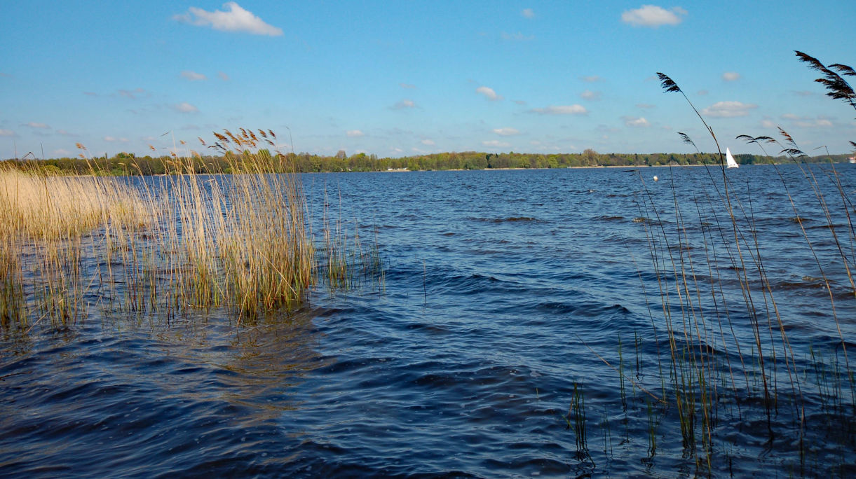 Webdesign, Homepage erstellen, Bremen, Lilienthal, Grasberg, Worpswede, agentur28